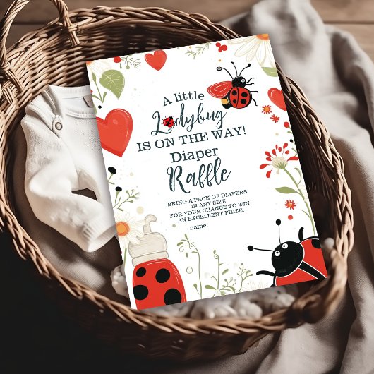 Little Ladybug Spring Baby shower Diapper Raffle Informatiekaartje