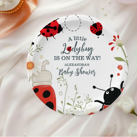 Little Ladybug Spring Baby shower Papieren Bordje