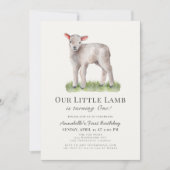 Little Lamb 1st Birthday Invitation Kaart (Voorkant)