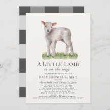 Little Lamb Baby shower by Mail