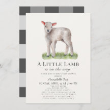 Little Lamb Baby shower
