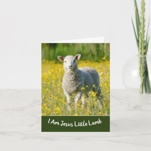 Little Lamb Baptism Wenskaart Feestdagen Kaart (Voorkant)