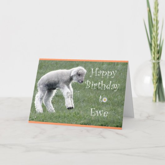 Little Lamb Birthday Kaart (Voorkant)