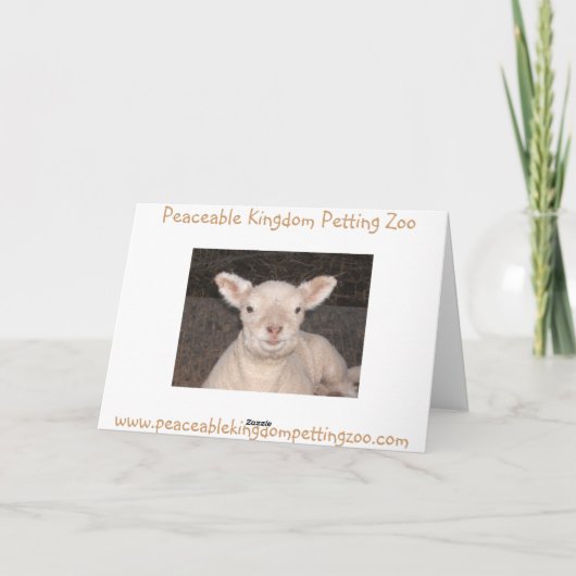 Little Lamb Birthday Kaart (Achterkant)