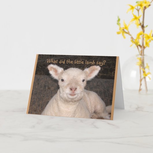 Little Lamb Birthday Kaart (Gele Bloem)