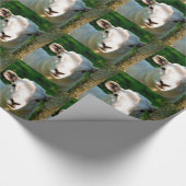 LITTLE LAMB CUTE CADEAUPAPIER (Hoek)