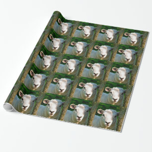 LITTLE LAMB CUTE CADEAUPAPIER