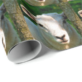 LITTLE LAMB CUTE CADEAUPAPIER (Rol Hoek)