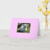 Little Lamb Kaart (Gele Bloem)