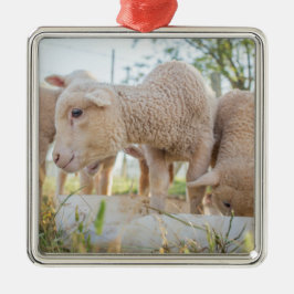 Little Lamb Metalen Ornament