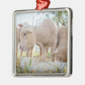 Little Lamb Metalen Ornament (Links)