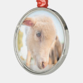 Little Lamb Metalen Ornament (Links)