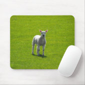 Little Lamb Muismat (Met muis)