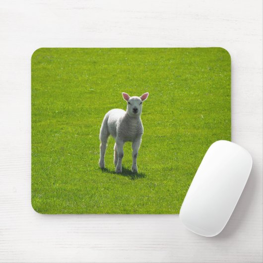 Little Lamb Muismat (Met muis)