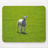 Little Lamb Muismat (Voorkant)