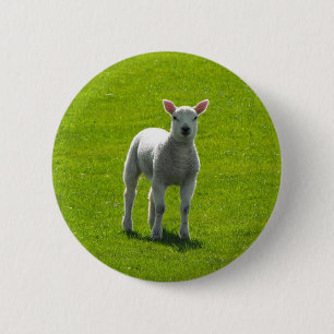 Little Lamb Ronde Button 5,7 Cm