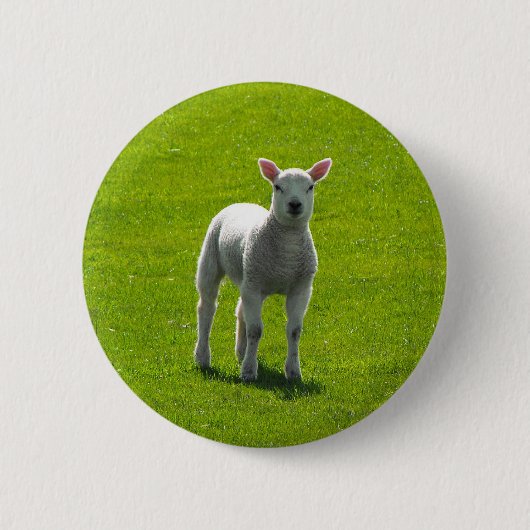 Little Lamb Ronde Button 5,7 Cm (Voorkant)