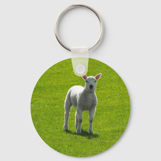 Little Lamb Sleutelhanger (Voorkant)