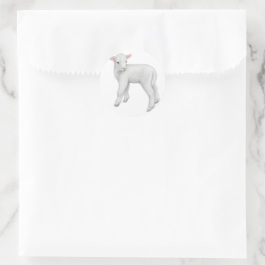 Little Lamb Sticker (Tas)