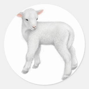 Little Lamb Sticker