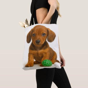 Little Legs, Big Speelgoed – Teckel Pup Tote Bag