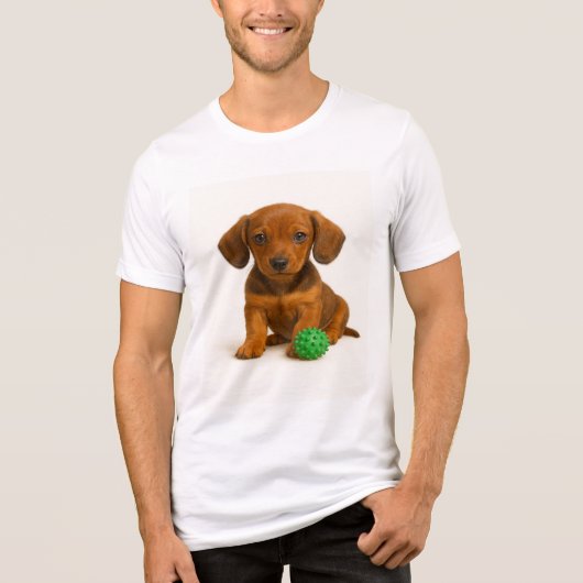 Little Legs, Big Speelgoed – Teckel Pup Tri-Blend Shirt (Voorkant)