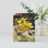 Little Lemon Head Wildflower Briefkaart (Staand voorkant)