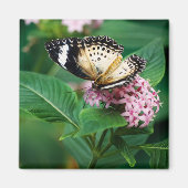 Little Leopard Wings Magnet (Voorkant)