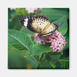 Little Leopard Wings Magnet