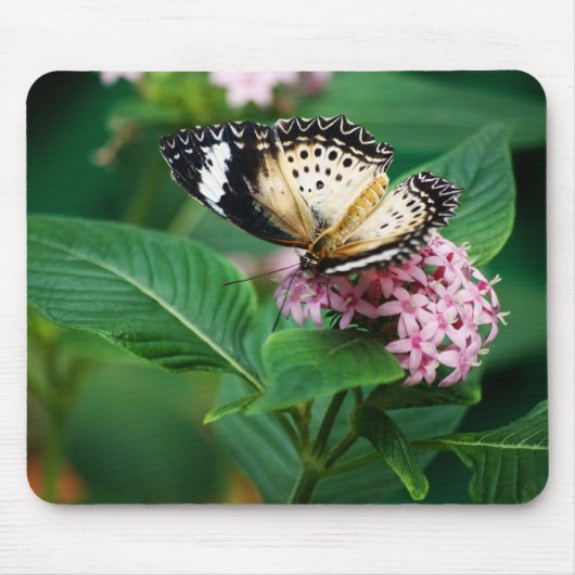 Little Leopard Wings Mousepad Muismat (Voorkant)