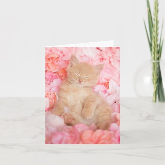 Little Linus Pink Floral Blank Notecard Kaart (Voorkant)