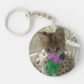 Little Louie - de serval kitten knop Sleutelhanger (Voorkant)