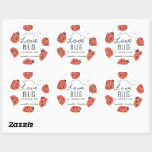 Little Love Bug Ladybug Birthday Classic Round Sti Ronde Sticker (Vel)