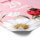 Little Love Bug Ladybug Birthday Milestone Sign Poster (Hoek)