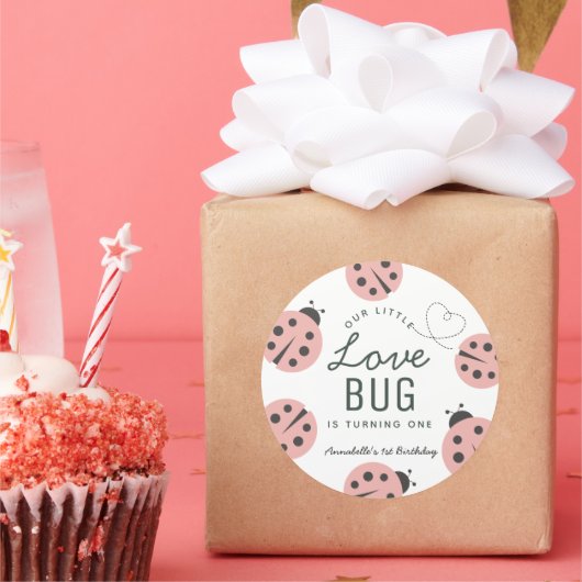 Little Love Bug Pink Ladybug Birthday Ronde Sticker (Feest)
