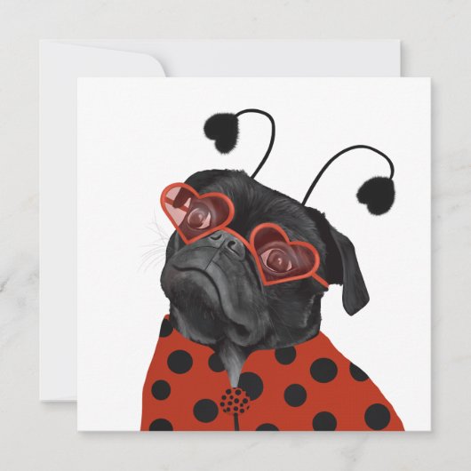 Little Love Pug | Plug Lovers (Voorkant)