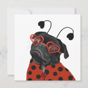 Little Love Pug   Plug Lovers