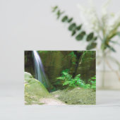 Little Lyons Herfsten, Mohican State Park, Ohio Briefkaart (Staand voorkant)