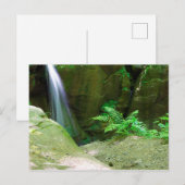 Little Lyons Herfsten, Mohican State Park, Ohio Briefkaart (Voorkant / Achterkant)