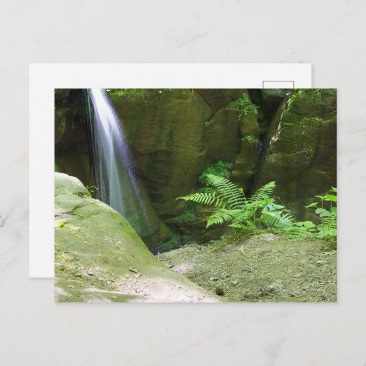 Little Lyons Herfsten, Mohican State Park, Ohio Briefkaart (Voorkant / Achterkant)