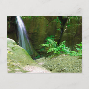 Little Lyons Herfsten, Mohican State Park, Ohio Briefkaart