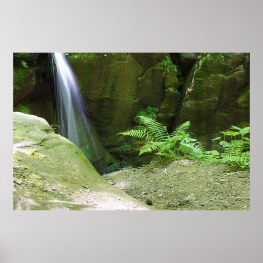 Little Lyons Herfsten, Mohican State Park, Ohio Poster (Voorkant)