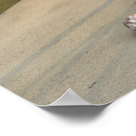 Little Mermaid Poster (Hoek)