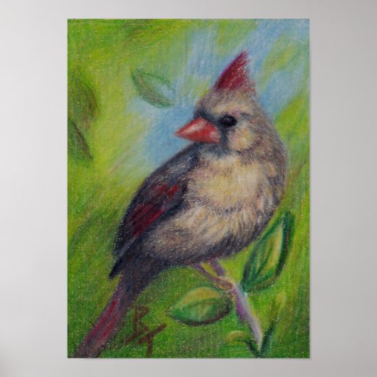 Little Miss Cardinaal aceo Poster Print (Voorkant)