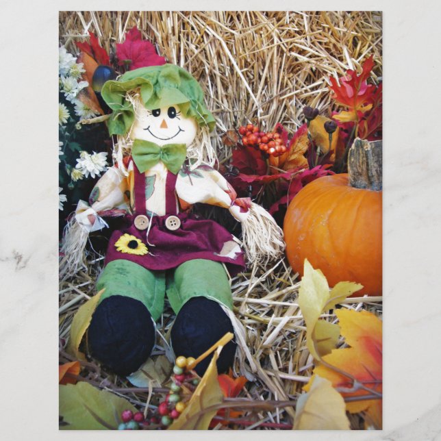Little Miss Scarecrow (Voorkant)