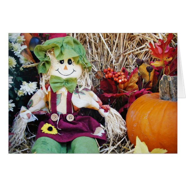 Little Miss Scarecrow (Voorkant Horizontaal)