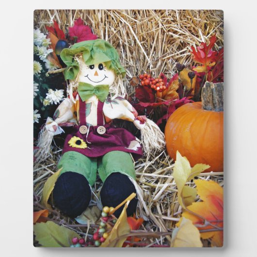 Little Miss Scarecrow Fotoplaat (Voorkant)