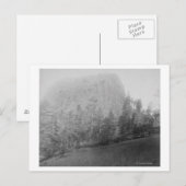 Little Missouri Butte Beyod Field en Trees Briefkaart (Voorkant / Achterkant)