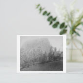 Little Missouri Butte Beyod Field en Trees Briefkaart (Staand voorkant)