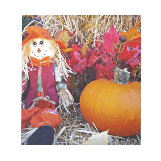 Little Mister Scarecrow Notitieblok (Voorkant)